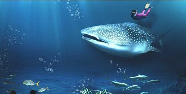 世界１１個巨大而神奇的水族館（上） ảnh 1