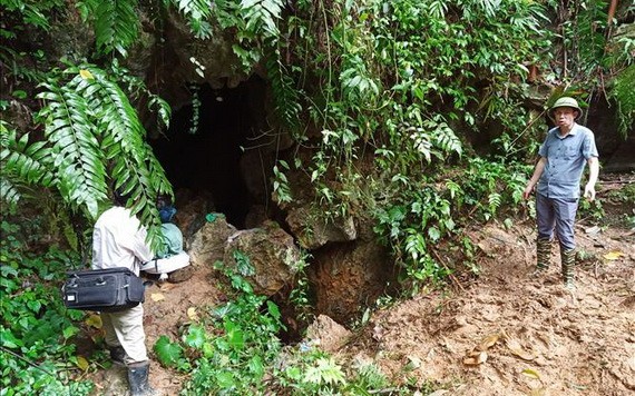 事發的深山洞位置。（圖源：越通社）