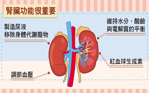 （示意圖源：互聯網） 
