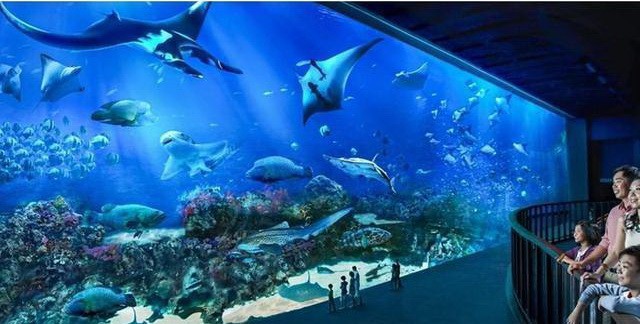 世界11個巨大而神奇的水族館（下） ảnh 4