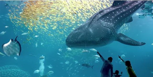 世界11個巨大而神奇的水族館（下） ảnh 5