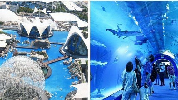 西班牙瓦倫西亞市中心的水族館。（圖源：互聯網）