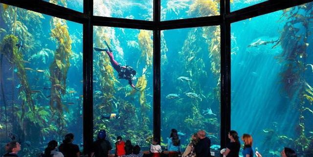 世界11個巨大而神奇的水族館（下） ảnh 1