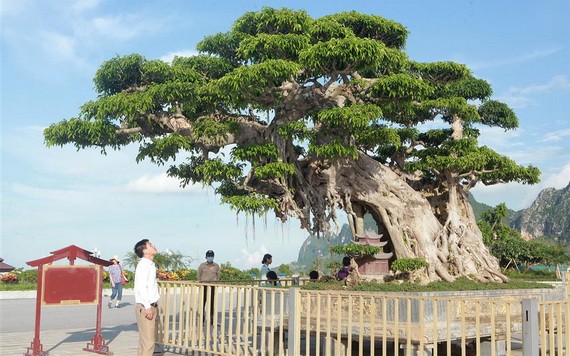 （示意圖源：互聯網） 