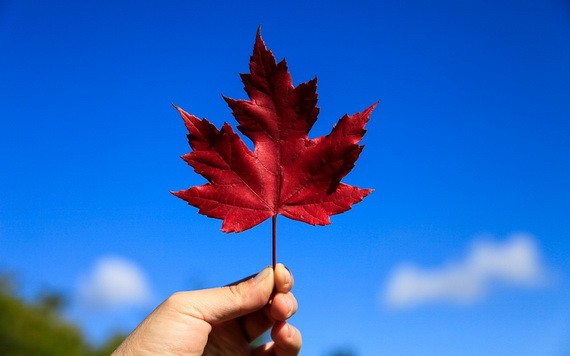 （示意圖源：互聯網） 