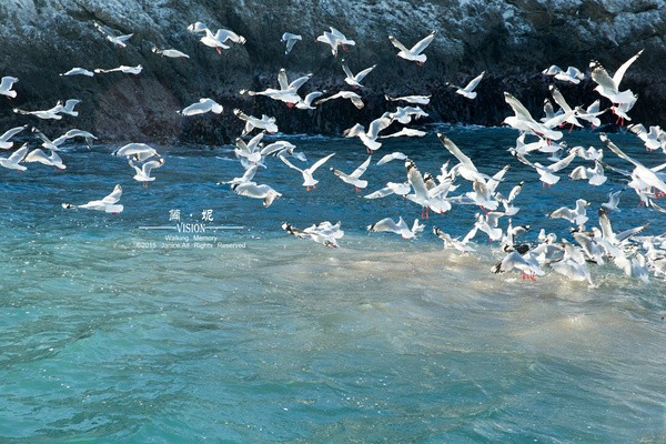 在凱庫拉我和海洋生物有個約會 ảnh 1