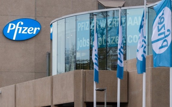 輝瑞在歐洲藥品管理局的疫苗資料遭駭客入侵。（圖源：互聯網）