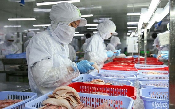 西貢Food 股份公司的勞工獲年終獎金2個月薪資。（圖源：煌潮）