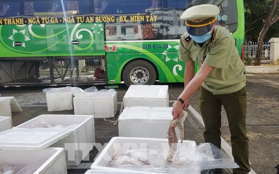 職能力量截停一輛臥鋪客車，查獲1.7噸來歷不明動物內臟。（圖源：越通社）