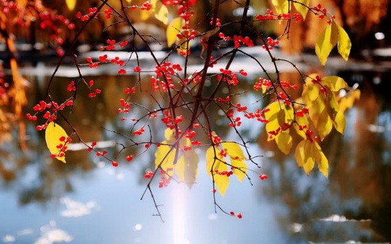 （示意圖源：互聯網） 