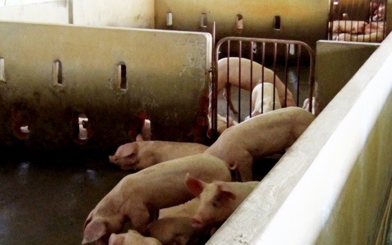 （示意圖源：互聯網） 