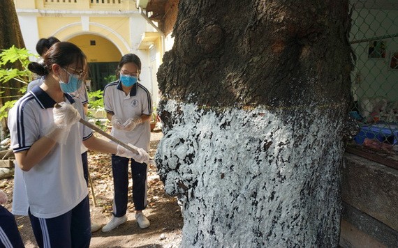 打掃與在樹木塗漆工作不僅男生喜歡，而不少女生也十分願意參加，希望校園美化。