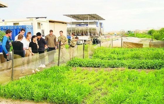 國際友人前來聯合國駐南蘇丹特派團的越南野戰醫院參觀時都很讚歎一片片綠油油的菜園並向越南維和部隊學習無公害蔬菜栽培的技術和經驗。(圖源:成南)