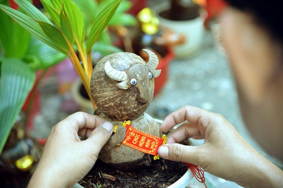 獨特的水牛形椰子盆景。(圖源:視頻截圖)