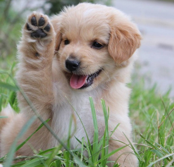 （示意圖源：互聯網） 