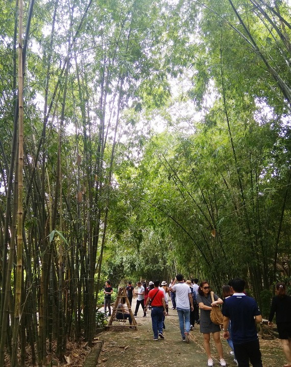 不少遊客選擇友善環境的旅程。