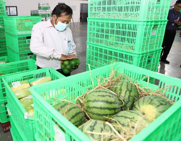 確保果蔬新鮮衛生安全 ảnh 1