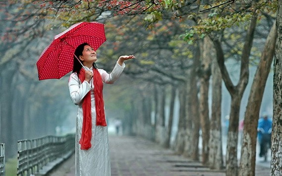 （示意圖源：互聯網） 