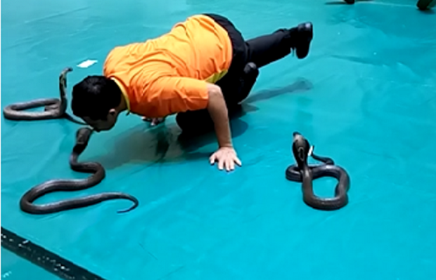 不一般的 “野性”之旅 ảnh 4