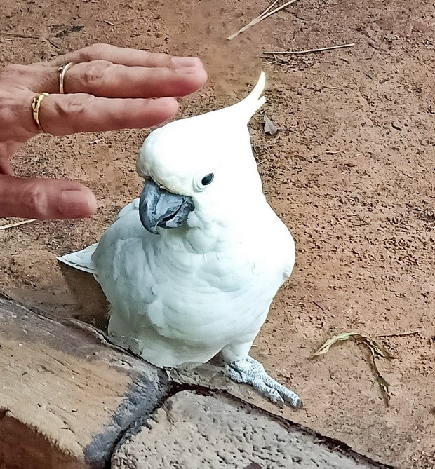 不一般的 “野性”之旅 ảnh 2