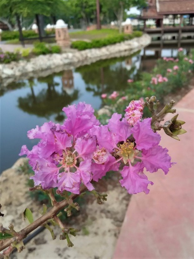 從“一”開始 ảnh 1