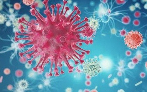 新冠病毒。（圖源：互聯網）