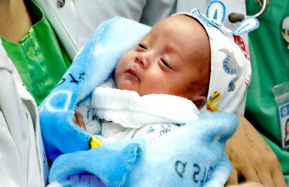 春假期間出生的寶寶。（圖源：互聯網）