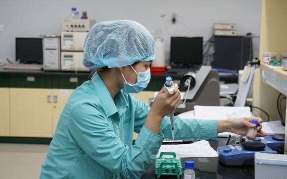 我國加緊推進疫苗研製計劃。（圖源：海英）