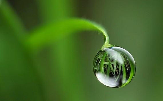 （示意圖源：互聯網） 