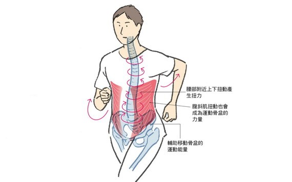 （示意圖源：互聯網） 
