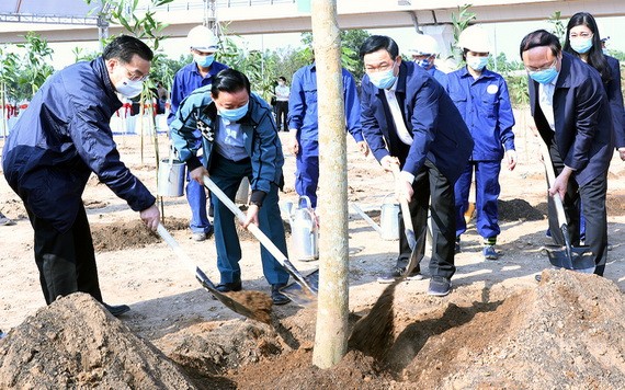 河內市和資源與環境部領導參加植樹活動。（圖源：K.T）