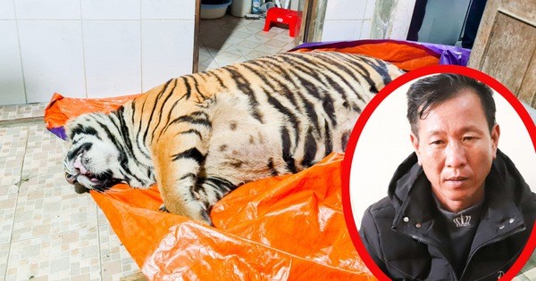 買老虎以製虎骨膏者受法律制裁