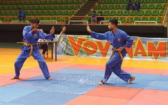 越南武表演節目。（圖源：越通社）