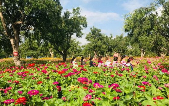 （示意圖源：互聯網） 