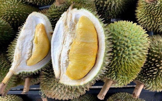 （示意圖源：互聯網） 