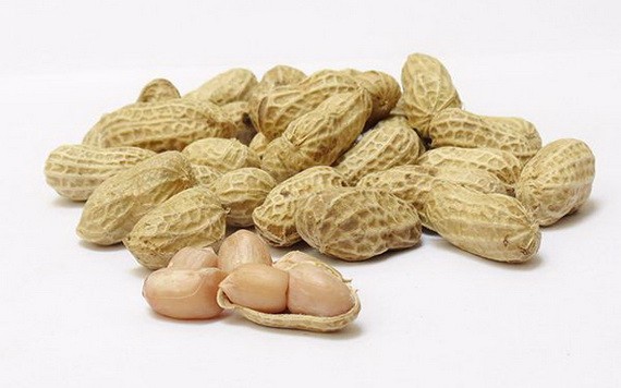 （示意圖源：互聯網） 