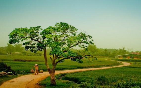 （示意圖源：互聯網） 