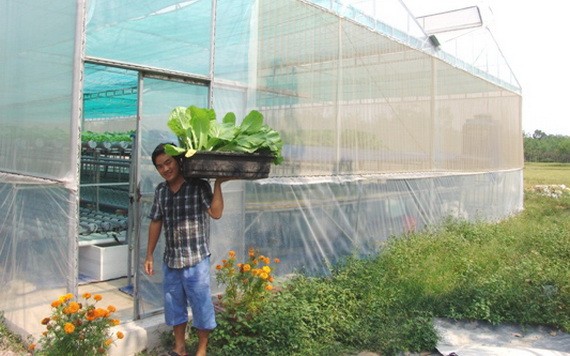 本市試行審批在農業地上建設生產輔助工程。