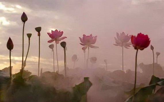 （示意圖源：互聯網） 