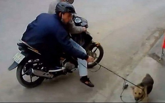 兩名偷狗賊被監控拍下偷狗全過程。