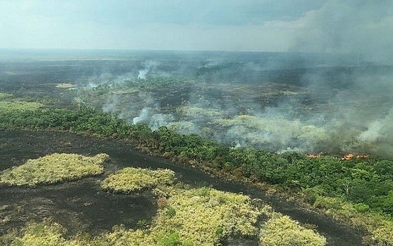 過去一百年間，已有四分之一的亞馬遜雨林，被移平為草地耕種賺錢，帶來生態危機。（圖源：互聯網）