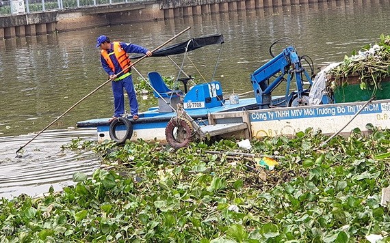 饒祿-氏藝涌經常出現浮萍。（圖源：阮珠）