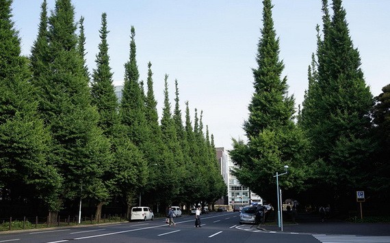 （示意圖源：互聯網） 