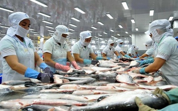 按歐盟的新規定，從本月21日起，進口要求不再依照動物源成份的百分比，而根據動物健康或從使用這些綜合產品對社群體康安全隱患基礎上批准。（示意圖源：垂楊）