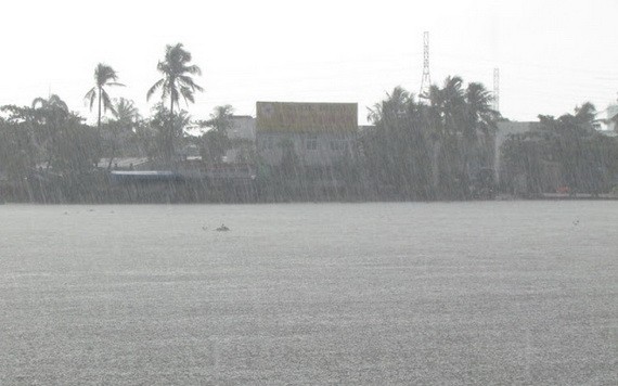 連日來，九龍江平原區域的大面積強降雨已有助增加大量淡水資源，使堅江省鄰近的若干條河段鹹度降低。（示意圖源：互聯網）