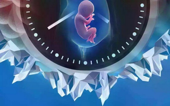 （示意圖源：互聯網） 