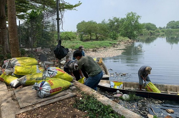 魚類大量死亡何時了？ ảnh 1