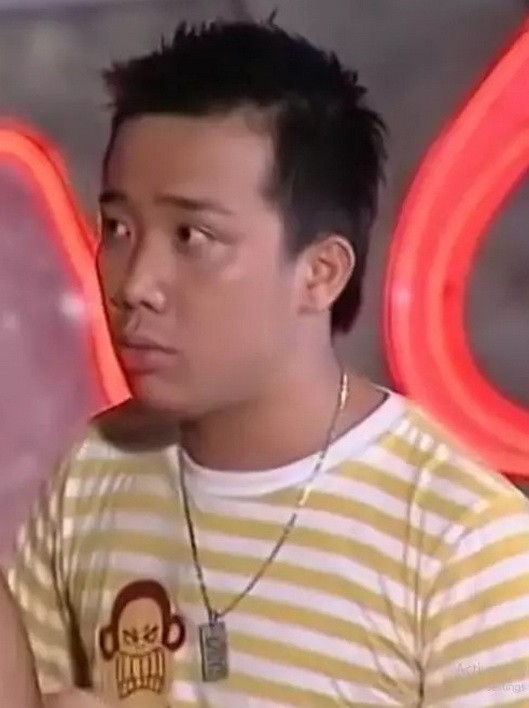 越南明星辛酸史