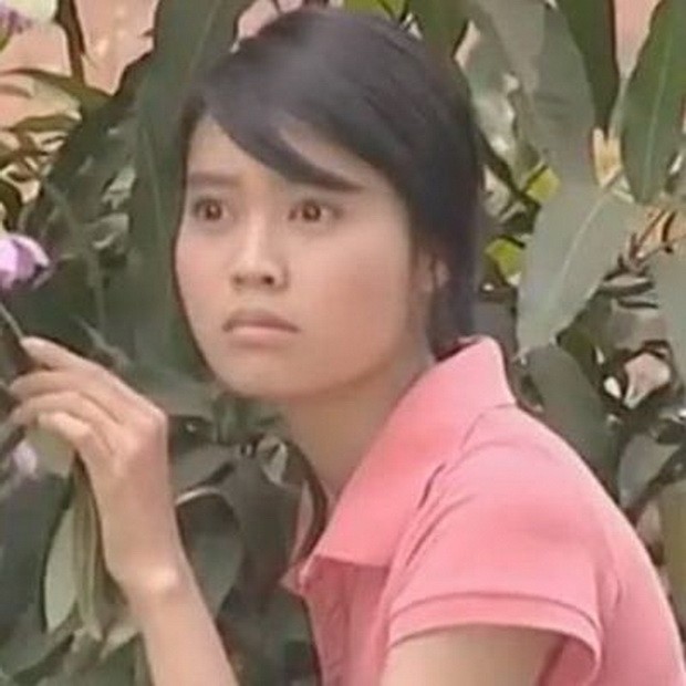 越南明星辛酸史 ảnh 1