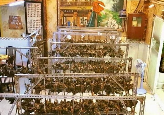 嘉富福建菜館福建肉粽每年都備受食客喜歡。